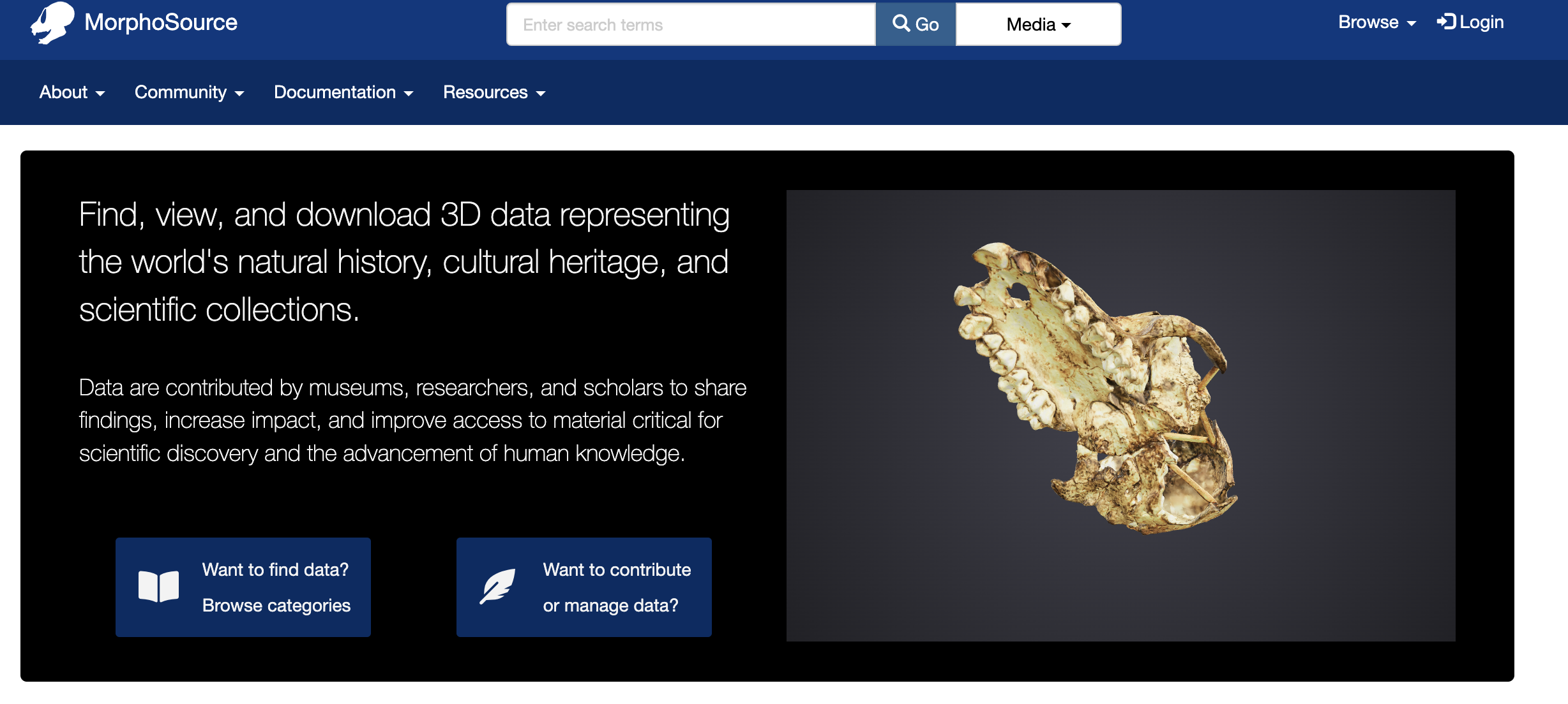 Morphosource screenshot