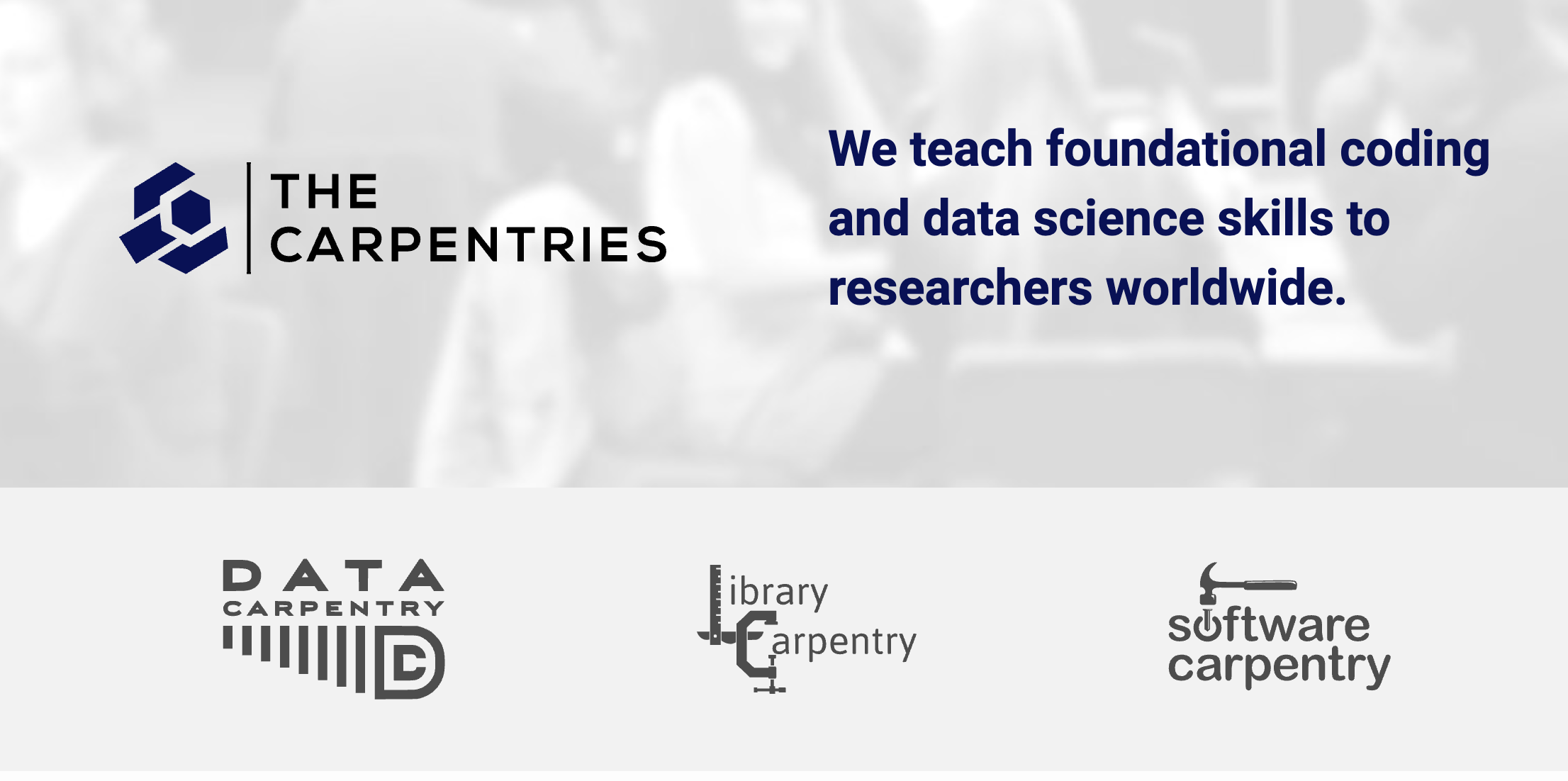 The Carpentries screenshot